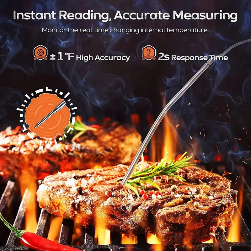 HOMEFISH Digital Meat Kitchen  - đánh giá và giá Digital Thermometer Probe